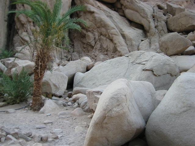 Jeepsafari Spezial von Hurghada